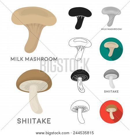 Poisonous And Edible Mushroom Cartoon, Black, Flat, Monochrome, Outline Icons In Set Collection For 