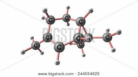 Carene Molecular Structure Isolated On White