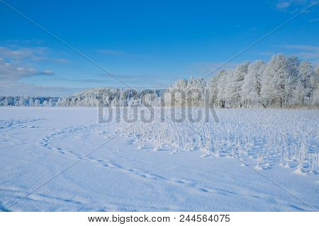 Cold Winter In Latvia.