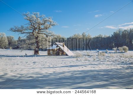 Cold Winter In Latvia.