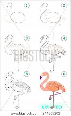 Page Shows How To Learn Step By Step To Draw A Cute Flamingo. Developing Children Skills For Drawing