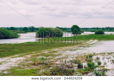 River Pripyat Overflowed, Flooded Road, Wild Nature Of Belarus