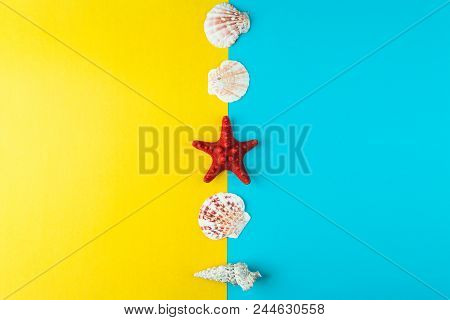Seashells And Starfish Laid Out In A Line. Summer Minimal