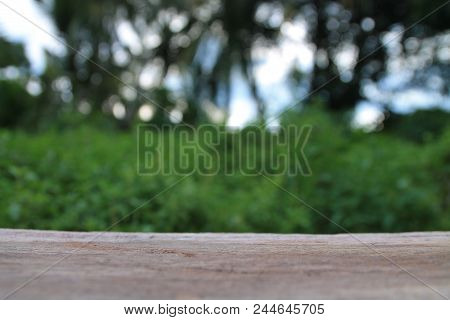 Green From Nature Background The Old Wooden Floor. Natural Branches. Green Leaf After The Rain,beaut
