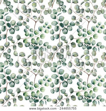 Watercolor Silver Dollar Eucalyptus Big Seamless Pattern. Hand Painted Beautiful Eucalyptus Branch I