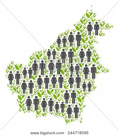 People Population And Floral Borneo Island Map. Vector Abstraction Of Borneo Island Map Organized Of