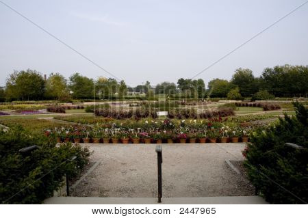 Arboretum Garden