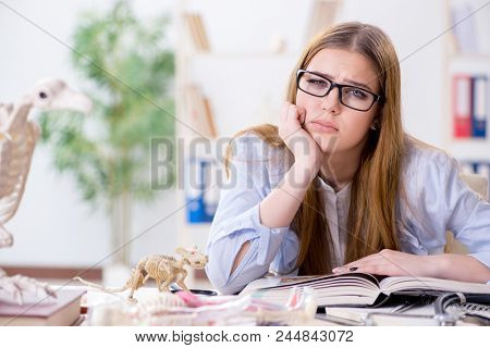 Student examining animal skeleton in classroom