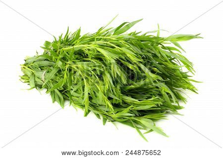 Tarragon Leaves ( Artemisia Dracunculus ) Isolated On White Background