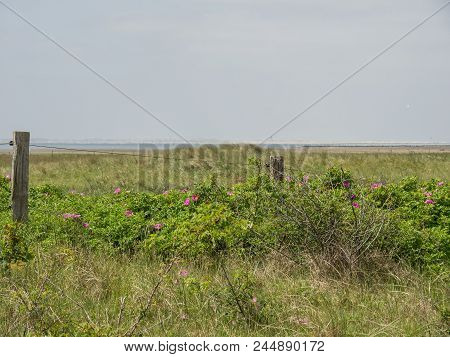 juist a german Island in the North sea