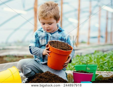 Greenhouse Structure Factory, Manufacture And Build. Greenhouse Structure Factory. Micro Grow Contro