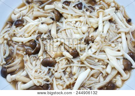 Top View Of Stir Fried Beech Mushroom Or Buna Shimeji Isolated On White Background. (hypsizygus Marm