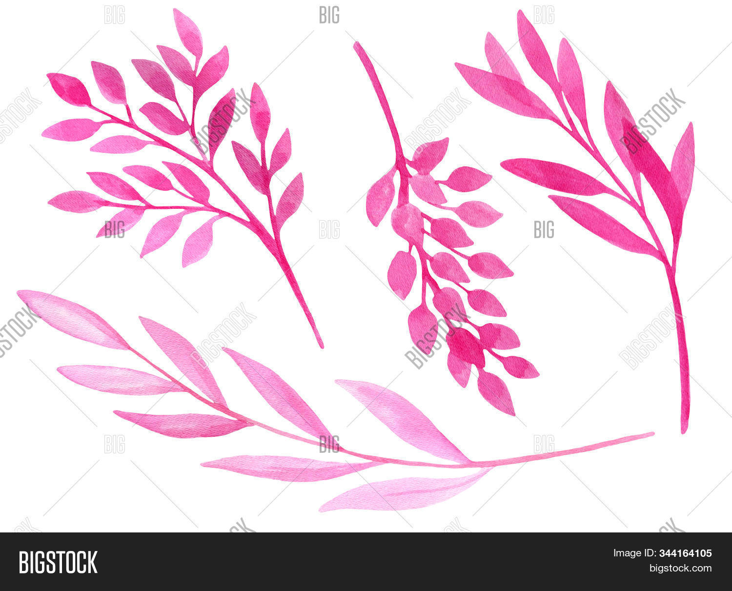Watercolor Pink Leaves Image & Photo (Free Trial) | Bigstock