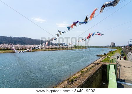 Kitakami, Iwate Prefecture, Japan - April 23 2019 : Tenshochi Park Along The Kitakami River In Sprin