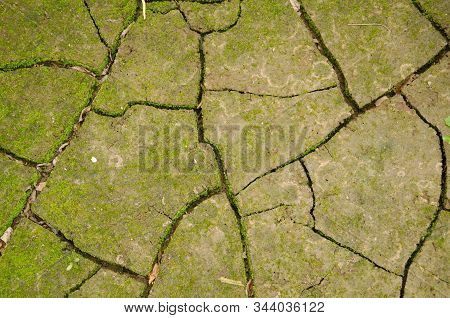 Parched Earth Brown Color With Cracks On The Surface