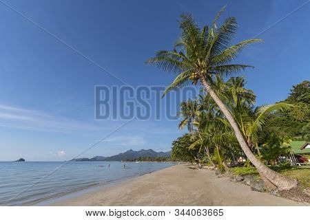 Beachside With Coconut Tree, Koh Chang, Thailand.
