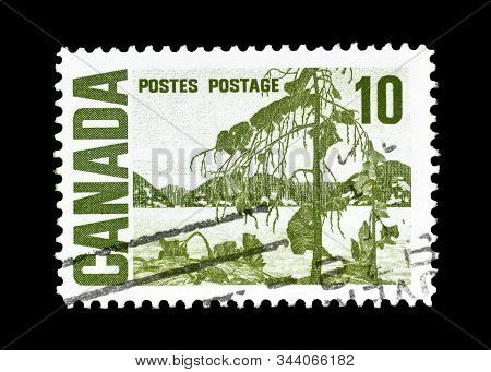 Cancelled Postage Stamp Printed By Canada, That Shows Jack Pine By Thomas John Thomson, Circa 1969.