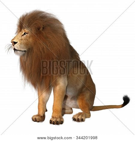 3D Rendering Male Lion On White