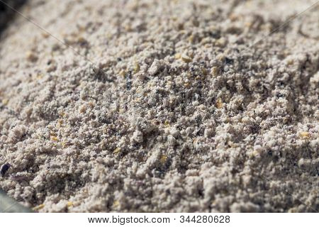 Raw Blue Organic Cornmeal