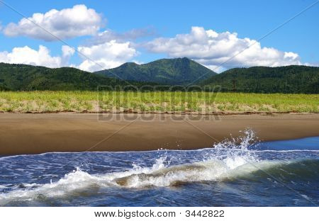 화려한 여름입니다. 섬 사할린입니다.