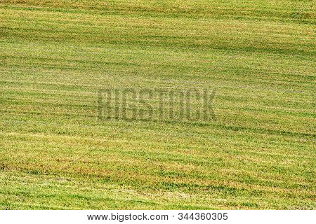 Close-up Of A Mowed Field For The Hay Making, Agriculture In Trentino, Italy, Full Frame