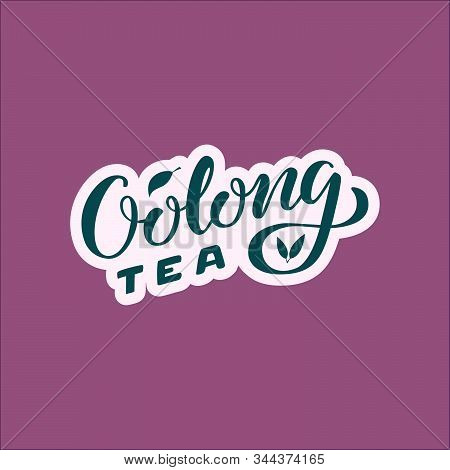 Vector Illustration Of Oolong Tea Brush Lettering For Package, Banner, Flyer, Poster, Bistro, Cafe, 