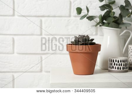 Beautiful Succulent On Wooden Table Near Brick Wall, Space For Text. Home Plant