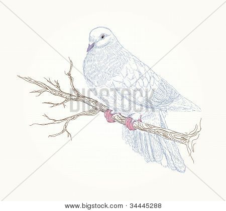Beautiful vector bird on flowering branch