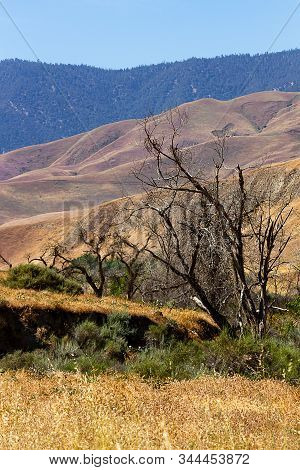 Scrub Desert Vista With Layers Of Ecosystems With Canyon