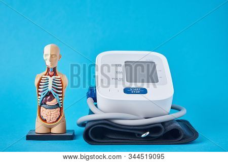 Digital Blood Pressure Monitor And Anatomical Human Model On A Blue Background, Closeup. Helathcare 