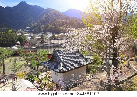 Aerial view on famous Miyajima island in sakura blossom season, Hiroshima, Japan. UNESCO world heritage site. View from Gojunoto pagoda