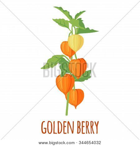Golden Berry Or Physalis Vector Icon In Flat Style Isolated On White Background.