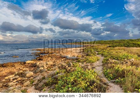 Seacoast near Can Picafort beach in sunset, Mallorca, Balearic islands, Spain