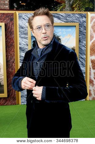 Robert Downey Jr. at the Los Angeles premiere of 'Dolittle' held at the Regency Village Theatre in Westwood, USA on January 11, 2020.