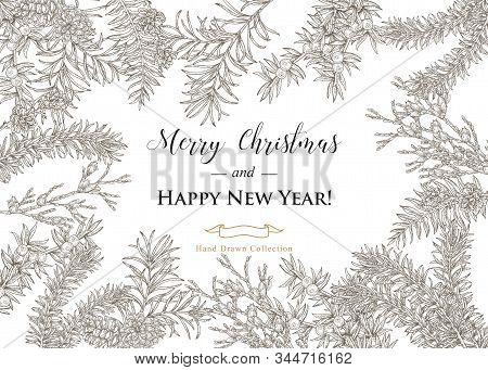 Christmas Card Design. Hand Drawn Winter Plants And Trees. Juniper, Cypress, Spruse, Fir And Pine Br