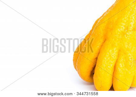 Studio Shot Close-up Bright Yellow Fingered Citron Buddha Hand Citrus Isolated On White