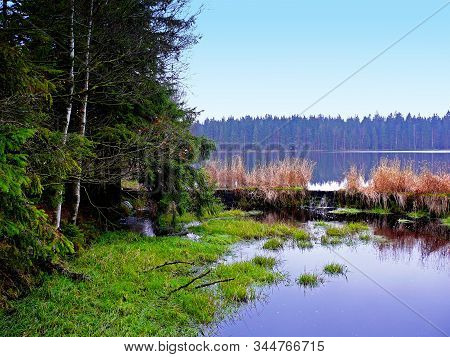 The Pond In The National Reservation Kladska Near Horni Slavkov. There Are Moss And Swamps. There Is
