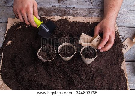 Pots Planting Process, Gardener Hands With Trowel Shovel. Fibre Cardboard Disposable Pots. Close-up.