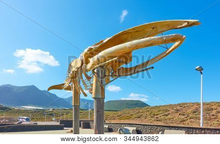 Los Silos, Tenerife, Spain - December 10, 2019: Skeleton of a Sei Whale at promenade on the coast in Los Silos, The Canary Islands                      