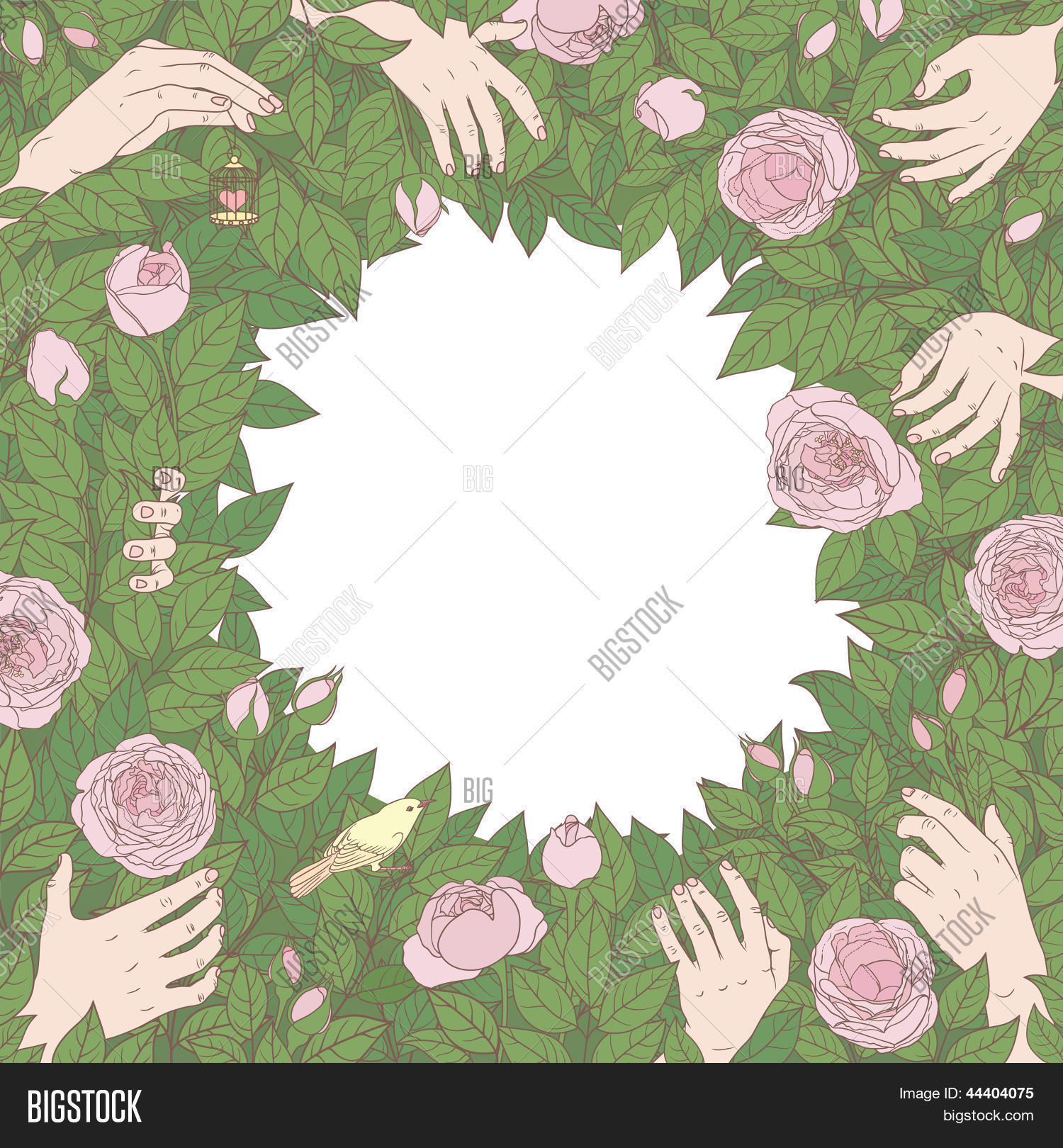 Image Preview