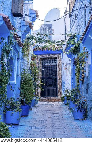 Narrow Alley Of Blue Town With Potted Plants Leading To Residential Structures On Both Side