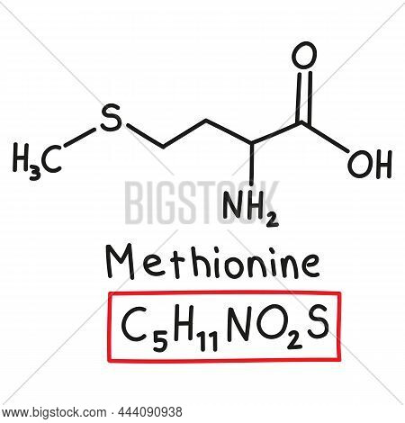 Hand Drawn Chemical Molecular Formula Of Amino Acid Methionine In Doodle Style Isolated.