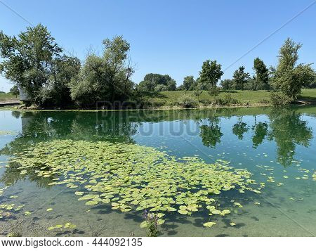 Jarun - Small Lake Or Jarun Small Lake And The Island Of Rowers During The Summer, Zagreb - Croatia 