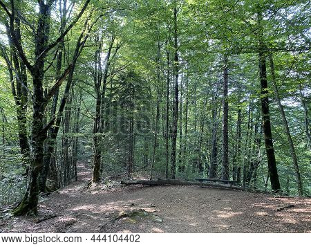Marked Forest Trail From The Village Of Razloge To The Karst Source Of The River Kupa In The Region 