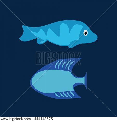 Illustration Dolphins Paper For Birthday    With Blue