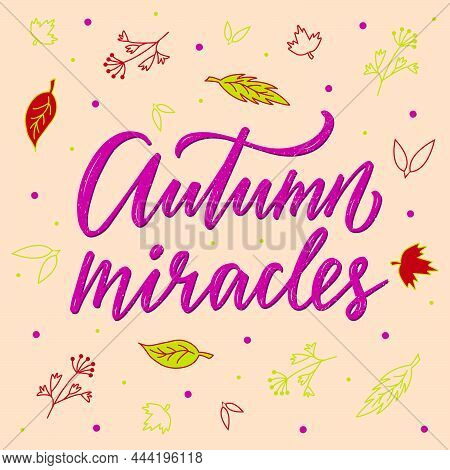 Vector Illustration Of Autumn Miracles Lettering For Banner, Advertisement, Postcard, Poster, Produc