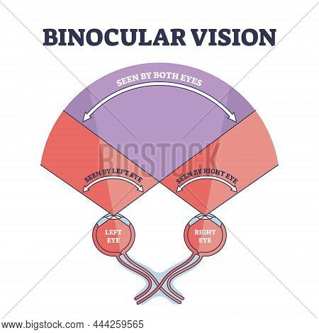 Binocular Vision Type Explanation With Right And Left Eye Sight Outline Diagram. Labeled Educational