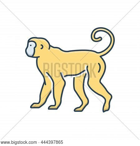 Color Illustration Icon For Monkey Lemur Primate Catarrhine Platyrrhine Jump Baboon Pet Chimpanzee O