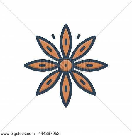 Color Illustration Icon For Star-anise Star Anise Anise-tree Illicium-verum Illicium Brown Condiment