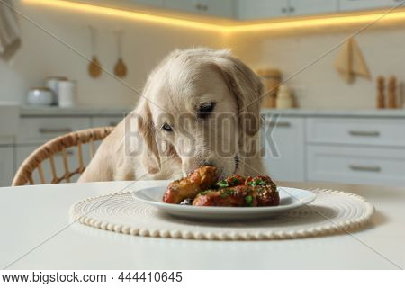 Cute Dog Trying To Steal Fried Meat From Table In Kitchen